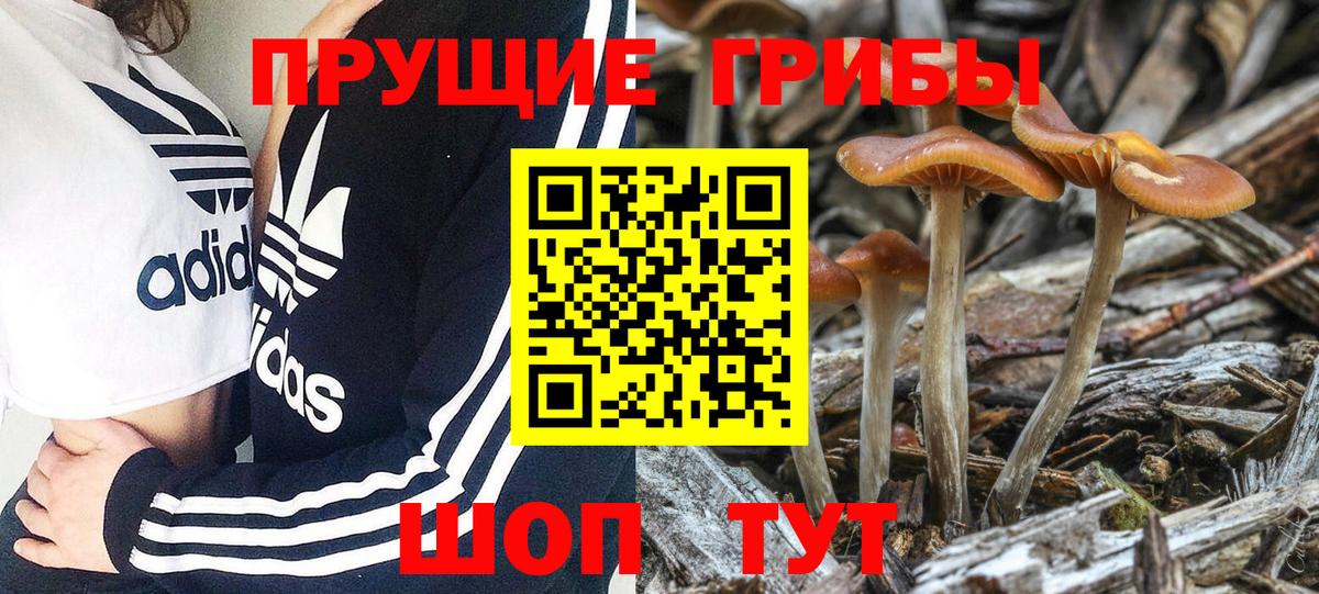 Псилоцибиновые грибы мицелий  Вход с VPN  Первоуральск 